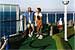 Putting Green & Miniature Golf