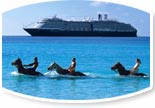 Horse back riding through water with cruise ship in background